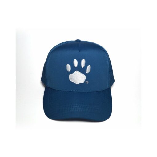 Prowler Hat Blue