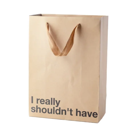 Snarky Gift Bags I Really Shouldn”t Have 3pk